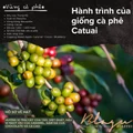 [Premium] BLAGU Roasted Bean Panama Boquete - 250g 6